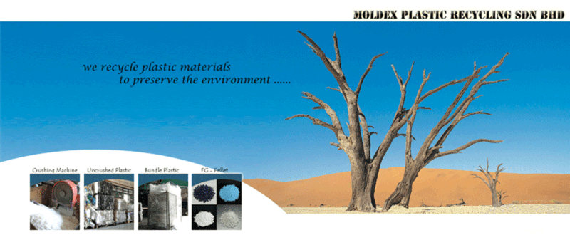 MOLDEX's Bulding